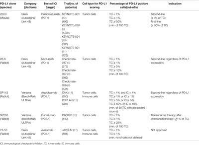 The Role of Intratumor Heterogeneity in the Response of Metastatic Non-Small Cell Lung Cancer to Immune Checkpoint Inhibitors